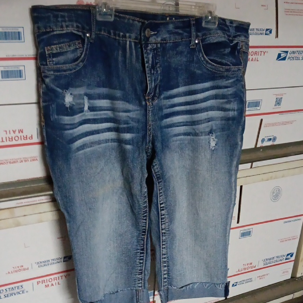 Reign Size 22 Distressed Blue Jean Shorts (SKU 520)